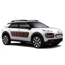 C4 Cactus (2014-2022)